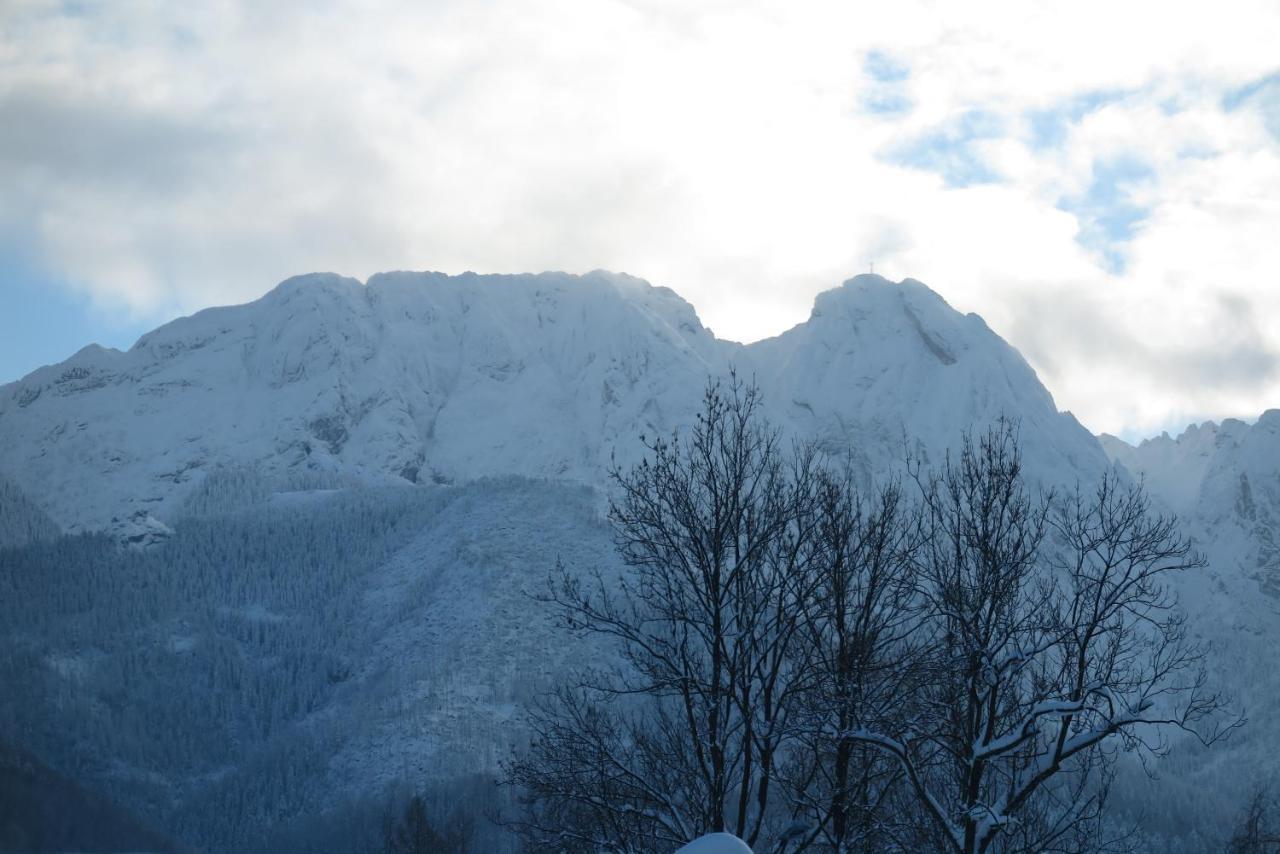 Pensjonat Jastrzebia Turnia Hotell Zakopane Exteriör bild